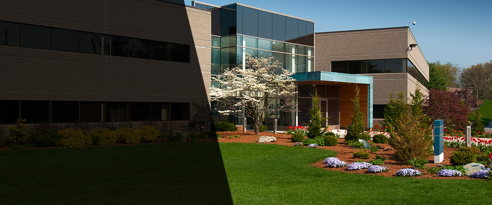 Rosharon Landscapers