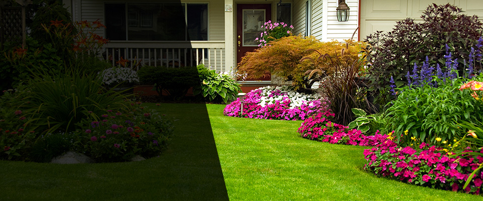 Rosharon Landscapers