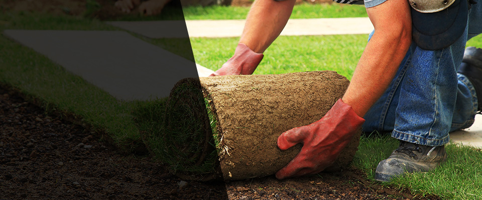 Rosharon Landscapers